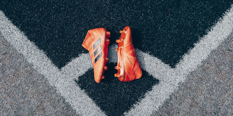 世界杯淘汰赛晋级树状图可视化进程